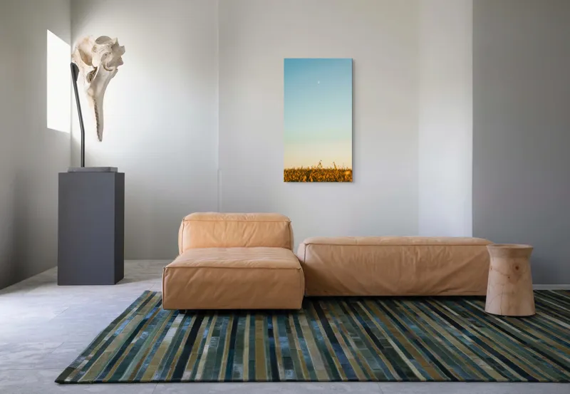 Tablou Canvas, "Luna deasupra câmpului de grâu", Cer, Lună, Avion, Iarbă, Apus, Orizont, Lumină, Seninătate., 50 x 90 cm – poza 5