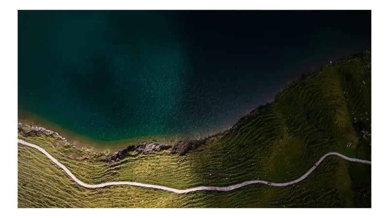Tablou Canvas, "Drumul șerpuitor lângă lacul albastru", Peisaj, Contrast, Apă, Mal, Traseu, Verdeață, Natură, Linie, Perspectivă, Frumusețe, 100 x 100 cm