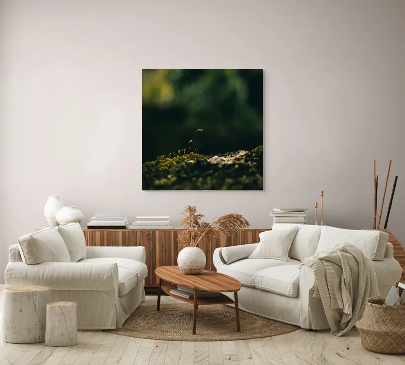 Tablou Canvas, "Mugur verde în tăcerea naturii", Plante, Frunze, Întuneric, Natură, Creștere, Mușchi, Detalii., 100 x 100 cm – poza 3