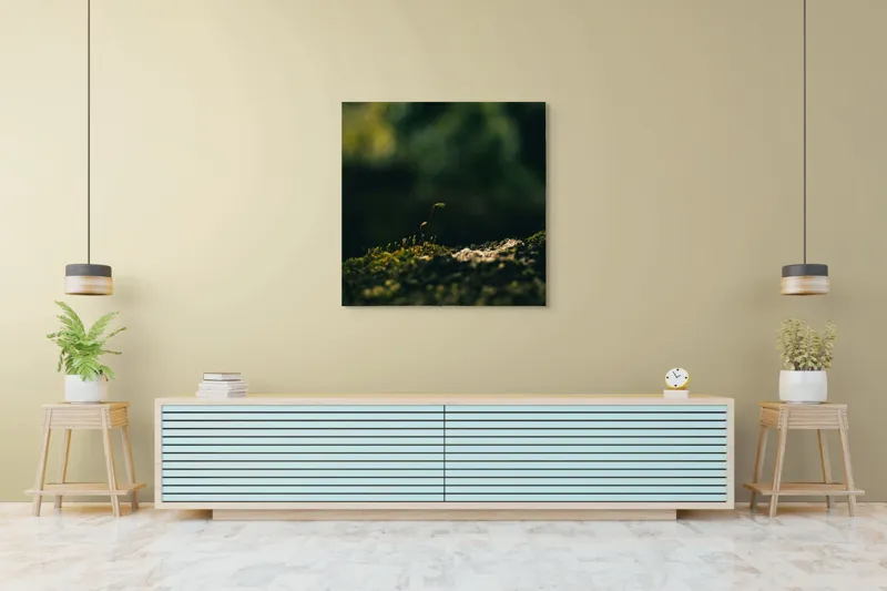 Tablou Canvas, "Mugur verde în tăcerea naturii", Plante, Frunze, Întuneric, Natură, Creștere, Mușchi, Detalii., 100 x 100 cm – poza 5