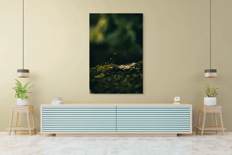 Tablou Canvas, "Mugur verde în tăcerea naturii", Plante, Frunze, Întuneric, Natură, Creștere, Mușchi, Detalii., 100 x 150 cm – poza 4