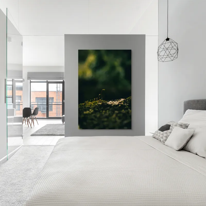 Tablou Canvas, "Mugur verde în tăcerea naturii", Plante, Frunze, Întuneric, Natură, Creștere, Mușchi, Detalii., 100 x 150 cm – poza 5