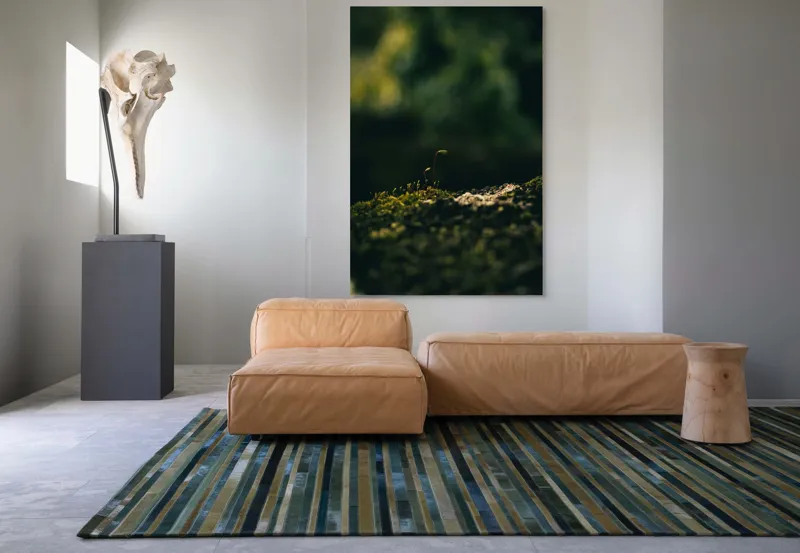 Tablou Canvas, "Mugur verde în tăcerea naturii", Plante, Frunze, Întuneric, Natură, Creștere, Mușchi, Detalii., 100 x 150 cm – poza 7