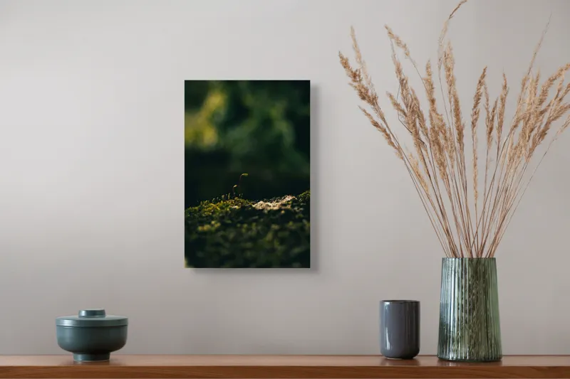 Tablou Canvas, "Mugur verde în tăcerea naturii", Plante, Frunze, Întuneric, Natură, Creștere, Mușchi, Detalii., 26 x 39 cm – poza 5