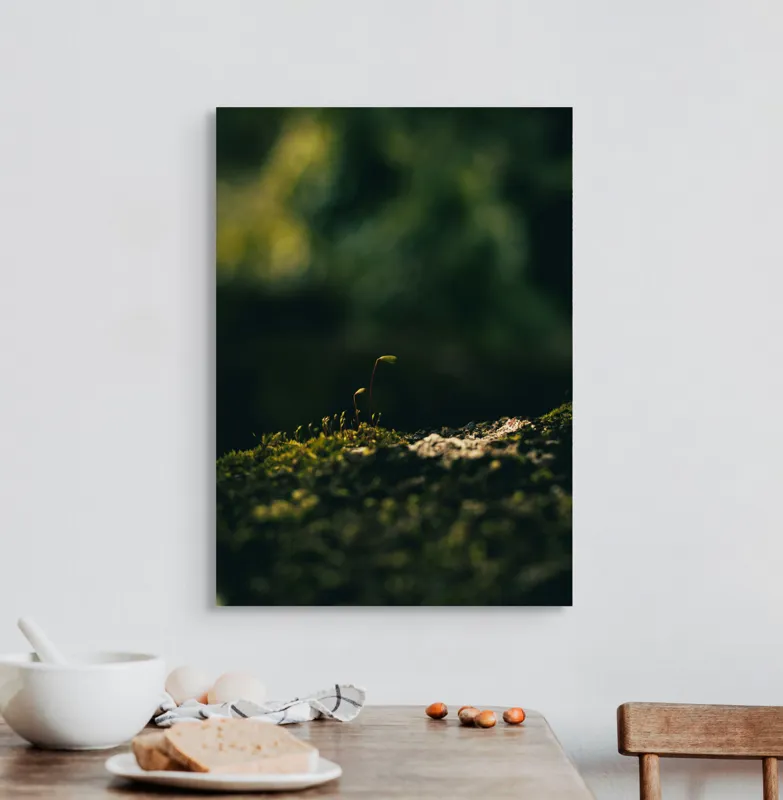 Tablou Canvas, "Mugur verde în tăcerea naturii", Plante, Frunze, Întuneric, Natură, Creștere, Mușchi, Detalii., 50 x 70 cm – poza 3