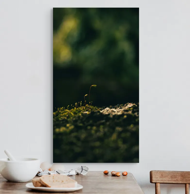 Tablou Canvas, "Mugur verde în tăcerea naturii", Plante, Frunze, Întuneric, Natură, Creștere, Mușchi, Detalii., 50 x 90 cm – poza 3