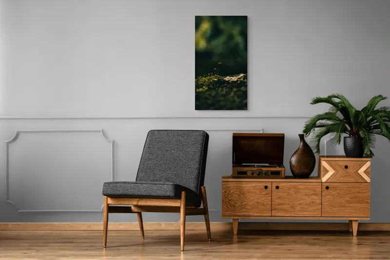 Tablou Canvas, "Mugur verde în tăcerea naturii", Plante, Frunze, Întuneric, Natură, Creștere, Mușchi, Detalii., 50 x 90 cm – poza 8