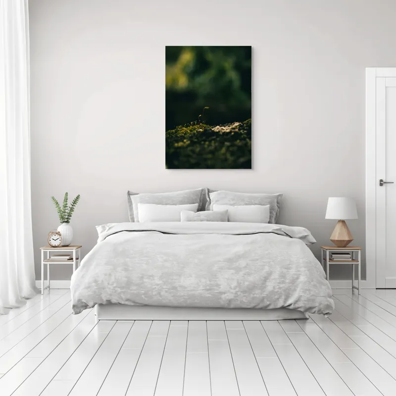 Tablou Canvas, "Mugur verde în tăcerea naturii", Plante, Frunze, Întuneric, Natură, Creștere, Mușchi, Detalii., 70 x 100 cm – poza 3