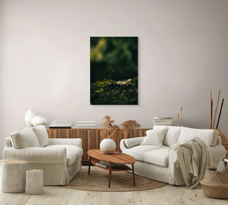 Tablou Canvas, "Mugur verde în tăcerea naturii", Plante, Frunze, Întuneric, Natură, Creștere, Mușchi, Detalii., 70 x 100 cm – poza 4