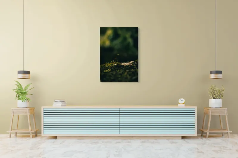 Tablou Canvas, "Mugur verde în tăcerea naturii", Plante, Frunze, Întuneric, Natură, Creștere, Mușchi, Detalii., 70 x 100 cm – poza 5
