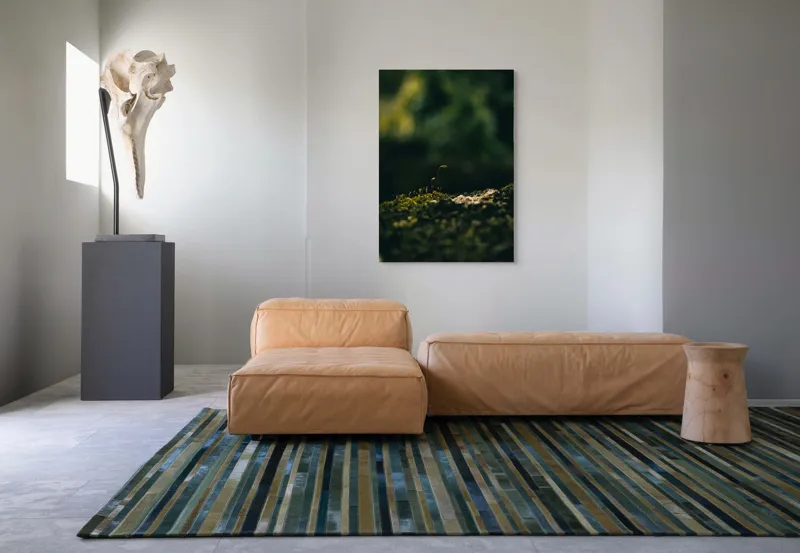 Tablou Canvas, "Mugur verde în tăcerea naturii", Plante, Frunze, Întuneric, Natură, Creștere, Mușchi, Detalii., 70 x 100 cm – poza 7