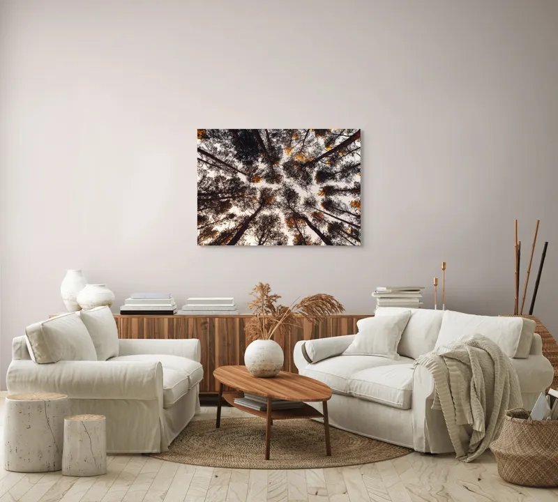 Tablou Canvas, "Privind spre cer printre pini", Copaci, Cer, Ramuri, Frunziș, Natură, Apus, Siluete, Pădure, Înalt, Vârfuri, 100 x 70 cm – poza 3