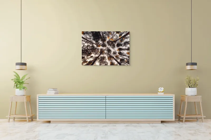 Tablou Canvas, "Privind spre cer printre pini", Copaci, Cer, Ramuri, Frunziș, Natură, Apus, Siluete, Pădure, Înalt, Vârfuri, 100 x 70 cm – poza 4