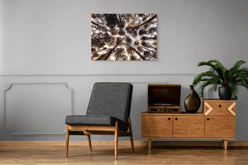 Tablou Canvas, "Privind spre cer printre pini", Copaci, Cer, Ramuri, Frunziș, Natură, Apus, Siluete, Pădure, Înalt, Vârfuri, 100 x 70 cm – poza 8