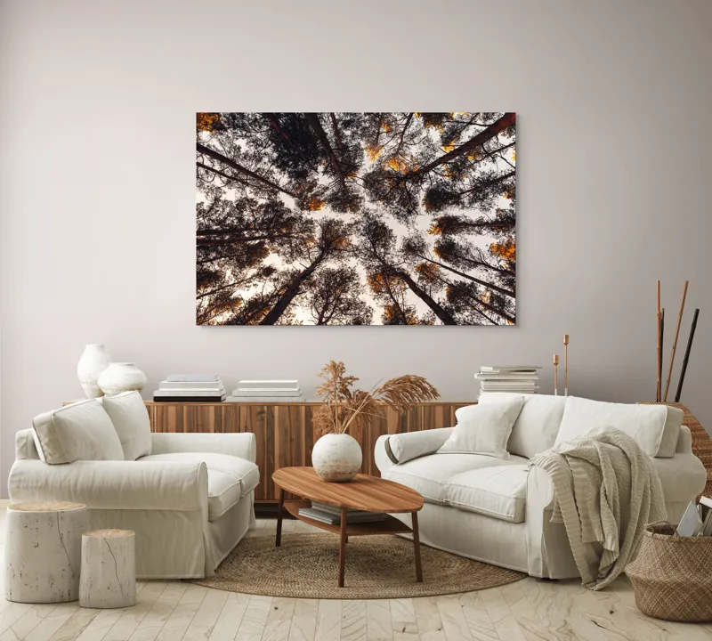 Tablou Canvas, "Privind spre cer printre pini", Copaci, Cer, Ramuri, Frunziș, Natură, Apus, Siluete, Pădure, Înalt, Vârfuri, 150 x 100 cm – poza 3
