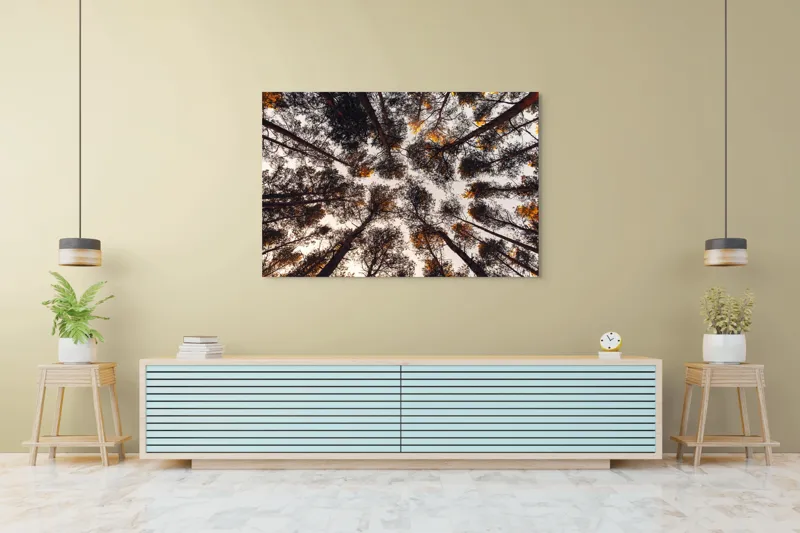 Tablou Canvas, "Privind spre cer printre pini", Copaci, Cer, Ramuri, Frunziș, Natură, Apus, Siluete, Pădure, Înalt, Vârfuri, 150 x 100 cm – poza 6