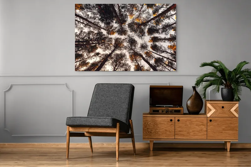 Tablou Canvas, "Privind spre cer printre pini", Copaci, Cer, Ramuri, Frunziș, Natură, Apus, Siluete, Pădure, Înalt, Vârfuri, 150 x 100 cm – poza 8