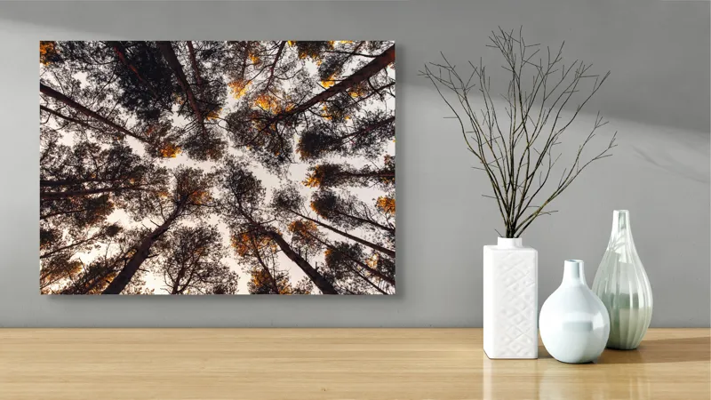 Tablou Canvas, "Privind spre cer printre pini", Copaci, Cer, Ramuri, Frunziș, Natură, Apus, Siluete, Pădure, Înalt, Vârfuri, 70 x 50 cm – poza 3