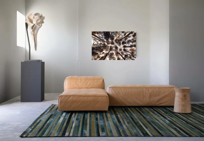Tablou Canvas, "Privind spre cer printre pini", Copaci, Cer, Ramuri, Frunziș, Natură, Apus, Siluete, Pădure, Înalt, Vârfuri, 90 x 50 cm – poza 8