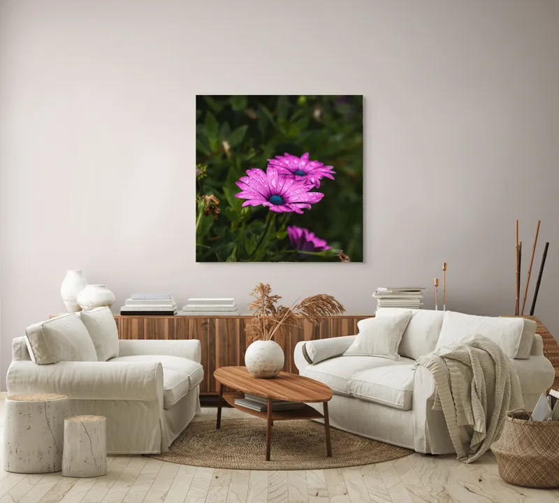 Tablou Canvas, "Flori de primăvară în rouă", Roz, Petale, Garoafe, Verde, Plante, Prospețime, Natură, Picături, Primăvară, Frunziș, Vioi, Înflorire, 100 x 100 cm – poza 3