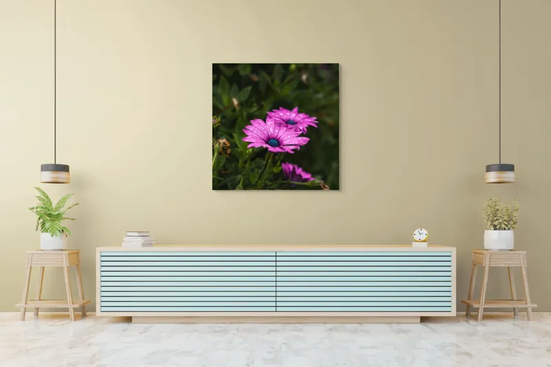 Tablou Canvas, "Flori de primăvară în rouă", Roz, Petale, Garoafe, Verde, Plante, Prospețime, Natură, Picături, Primăvară, Frunziș, Vioi, Înflorire, 100 x 100 cm – poza 5