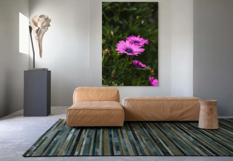 Tablou Canvas, "Flori de primăvară în rouă", Roz, Petale, Garoafe, Verde, Plante, Prospețime, Natură, Picături, Primăvară, Frunziș, Vioi, Înflorire, 100 x 150 cm – poza 7