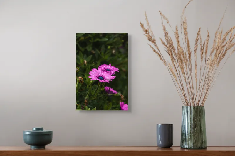 Tablou Canvas, "Flori de primăvară în rouă", Roz, Petale, Garoafe, Verde, Plante, Prospețime, Natură, Picături, Primăvară, Frunziș, Vioi, Înflorire, 26 x 39 cm – poza 5