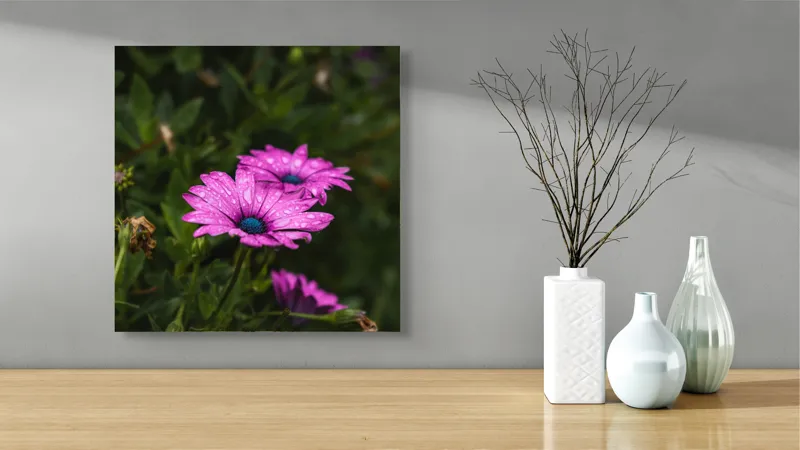 Tablou Canvas, "Flori de primăvară în rouă", Roz, Petale, Garoafe, Verde, Plante, Prospețime, Natură, Picături, Primăvară, Frunziș, Vioi, Înflorire, 50 x 50 cm – poza 3