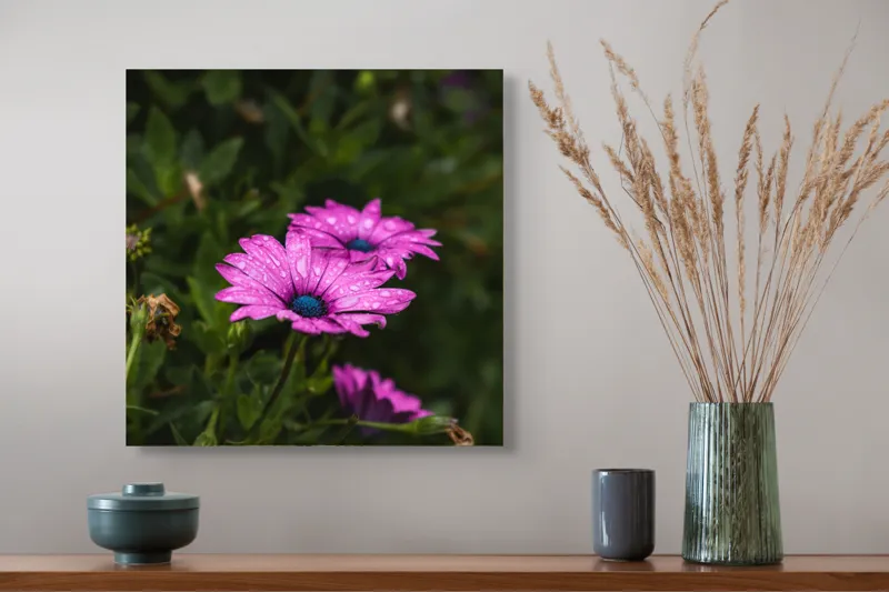 Tablou Canvas, "Flori de primăvară în rouă", Roz, Petale, Garoafe, Verde, Plante, Prospețime, Natură, Picături, Primăvară, Frunziș, Vioi, Înflorire, 50 x 50 cm – poza 4