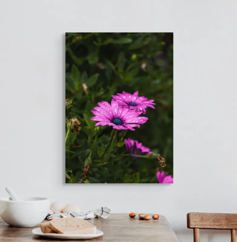 Tablou Canvas, "Flori de primăvară în rouă", Roz, Petale, Garoafe, Verde, Plante, Prospețime, Natură, Picături, Primăvară, Frunziș, Vioi, Înflorire, 50 x 70 cm – poza 3