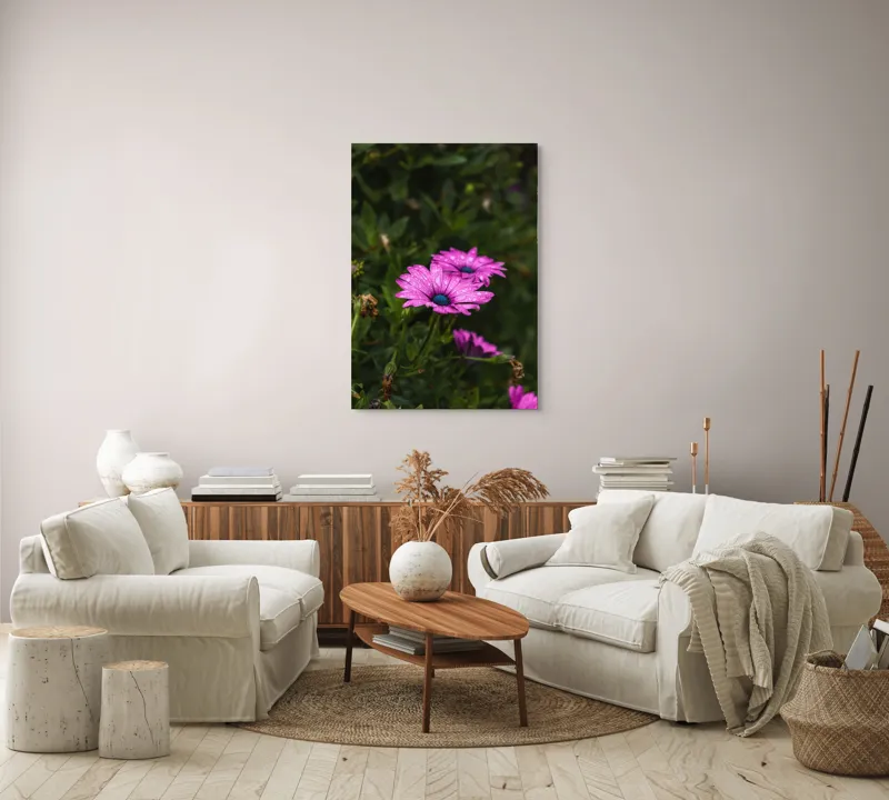 Tablou Canvas, "Flori de primăvară în rouă", Roz, Petale, Garoafe, Verde, Plante, Prospețime, Natură, Picături, Primăvară, Frunziș, Vioi, Înflorire, 70 x 100 cm – poza 4