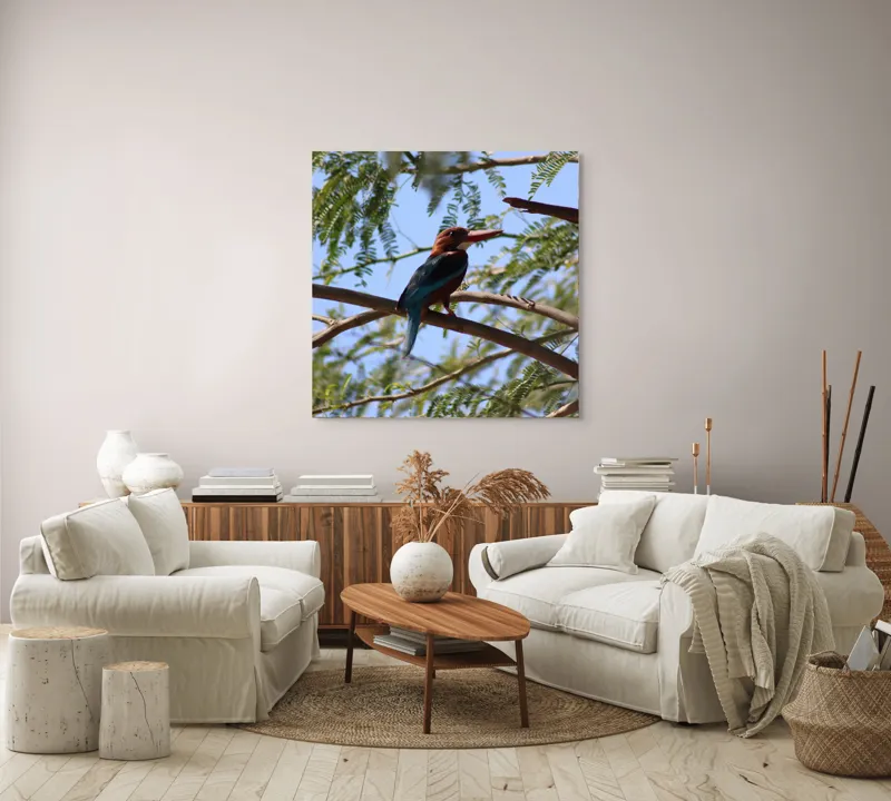 Tablou Canvas, "Regele pescar printre ramuri verzi", Pasăre, Ramură, Frunze, Cer, Natură, Pene, Zbor, Lumină, 100 x 100 cm – poza 3