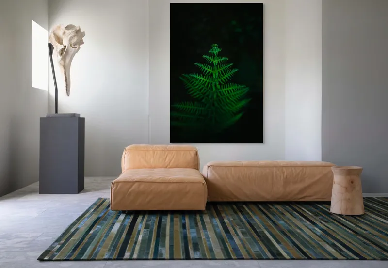 Tablou Canvas, "Frunza de ferigă în întuneric viu", Frumusețe, Simetrie, Natură, Verde, Delicatețe, Lumină, Întuneric, Contrast, Frunziș, Siluetă, 100 x 150 cm – poza 7