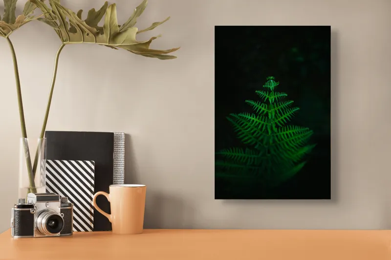 Tablou Canvas, "Frunza de ferigă în întuneric viu", Frumusețe, Simetrie, Natură, Verde, Delicatețe, Lumină, Întuneric, Contrast, Frunziș, Siluetă, 26 x 39 cm – poza 3