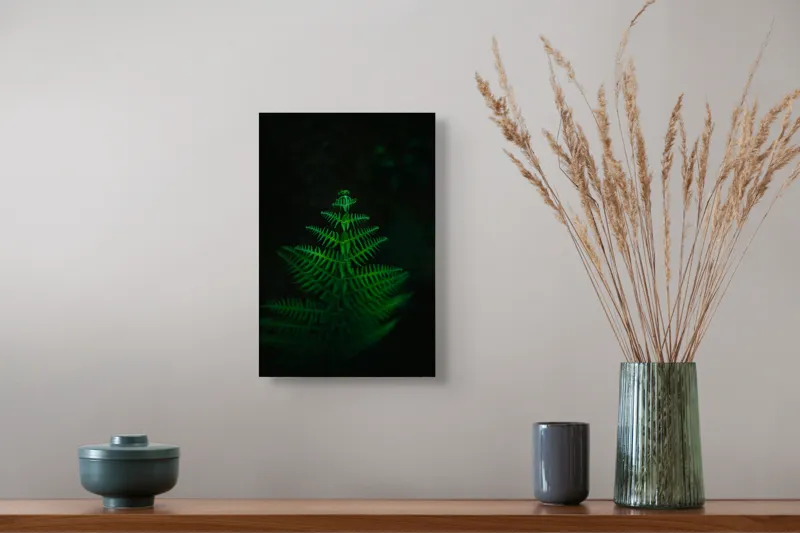 Tablou Canvas, "Frunza de ferigă în întuneric viu", Frumusețe, Simetrie, Natură, Verde, Delicatețe, Lumină, Întuneric, Contrast, Frunziș, Siluetă, 26 x 39 cm – poza 5