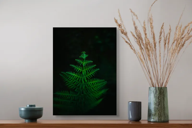 Tablou Canvas, "Frunza de ferigă în întuneric viu", Frumusețe, Simetrie, Natură, Verde, Delicatețe, Lumină, Întuneric, Contrast, Frunziș, Siluetă, 39 x 54 cm – poza 3