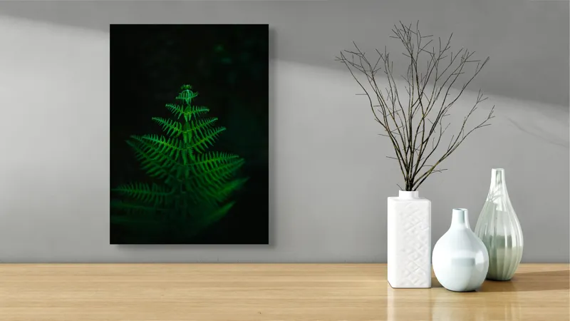 Tablou Canvas, "Frunza de ferigă în întuneric viu", Frumusețe, Simetrie, Natură, Verde, Delicatețe, Lumină, Întuneric, Contrast, Frunziș, Siluetă, 39 x 54 cm – poza 4
