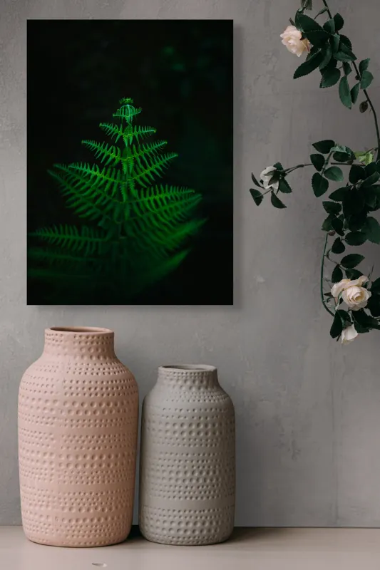 Tablou Canvas, "Frunza de ferigă în întuneric viu", Frumusețe, Simetrie, Natură, Verde, Delicatețe, Lumină, Întuneric, Contrast, Frunziș, Siluetă, 39 x 54 cm – poza 6