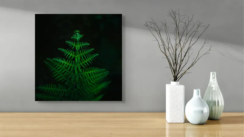 Tablou Canvas, "Frunza de ferigă în întuneric viu", Frumusețe, Simetrie, Natură, Verde, Delicatețe, Lumină, Întuneric, Contrast, Frunziș, Siluetă, 50 x 50 cm – poza 3