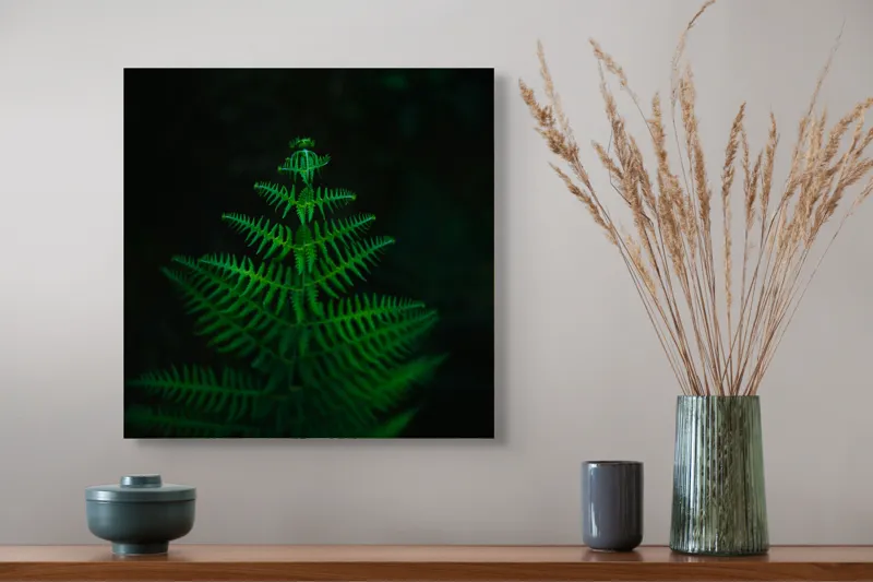 Tablou Canvas, "Frunza de ferigă în întuneric viu", Frumusețe, Simetrie, Natură, Verde, Delicatețe, Lumină, Întuneric, Contrast, Frunziș, Siluetă, 50 x 50 cm – poza 4
