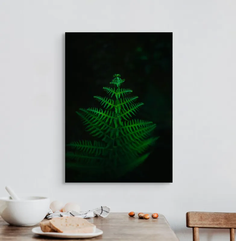 Tablou Canvas, "Frunza de ferigă în întuneric viu", Frumusețe, Simetrie, Natură, Verde, Delicatețe, Lumină, Întuneric, Contrast, Frunziș, Siluetă, 50 x 70 cm – poza 3