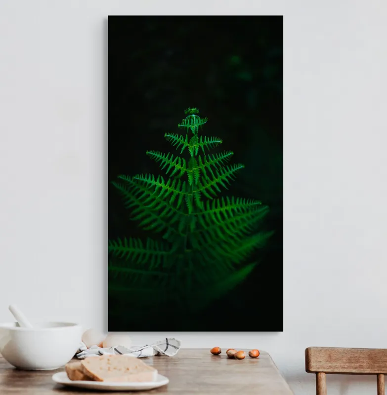 Tablou Canvas, "Frunza de ferigă în întuneric viu", Frumusețe, Simetrie, Natură, Verde, Delicatețe, Lumină, Întuneric, Contrast, Frunziș, Siluetă, 50 x 90 cm – poza 3
