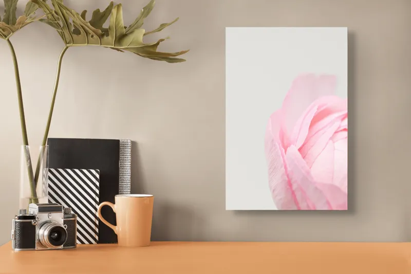 Tablou Canvas, "Petale delicate de primăvară roz", Delicat, Roz, Petale, Floare, Fragil, Minimalist, Moale, Pastel, Elegant, Simplu, 26 x 39 cm – poza 3