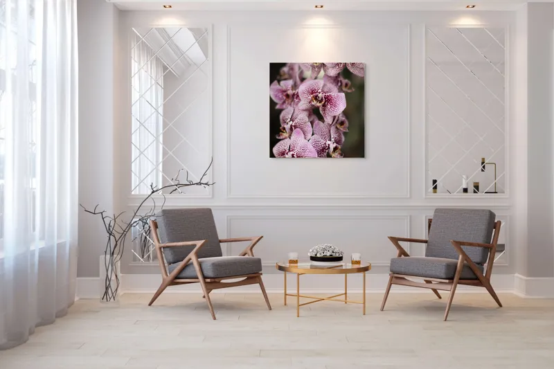 Tablou Canvas, "Orhidee grațioase înflorind splendid", Orhidee, Pestriț, Roz, Delicat, Exotic, Frumusețe, Natură, Viță, Petale, Artă, 100 x 100 cm – poza 7