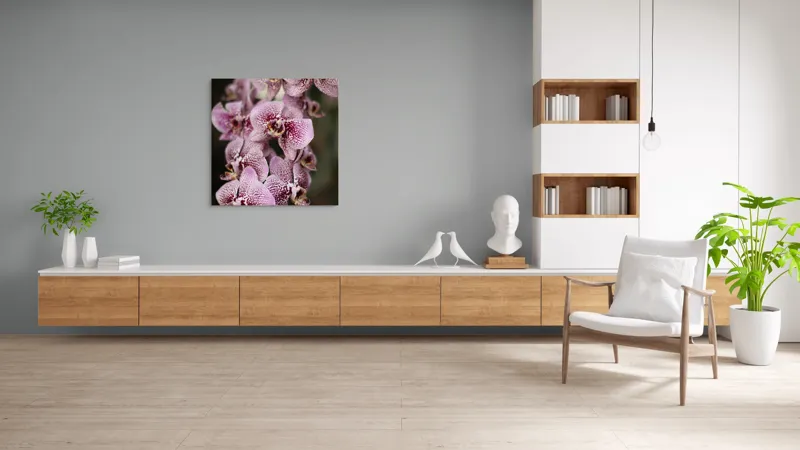Tablou Canvas, "Orhidee grațioase înflorind splendid", Orhidee, Pestriț, Roz, Delicat, Exotic, Frumusețe, Natură, Viță, Petale, Artă, 100 x 100 cm – poza 8