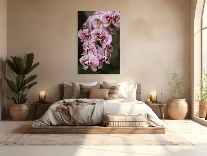 Tablou Canvas, "Orhidee grațioase înflorind splendid", Orhidee, Pestriț, Roz, Delicat, Exotic, Frumusețe, Natură, Viță, Petale, Artă, 100 x 150 cm – poza 3