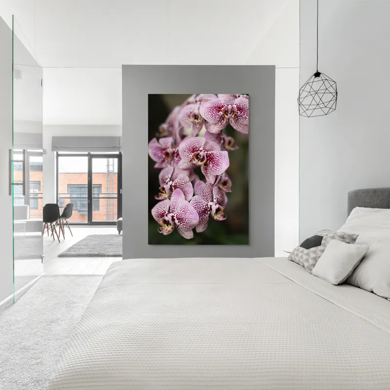 Tablou Canvas, "Orhidee grațioase înflorind splendid", Orhidee, Pestriț, Roz, Delicat, Exotic, Frumusețe, Natură, Viță, Petale, Artă, 100 x 150 cm – poza 5