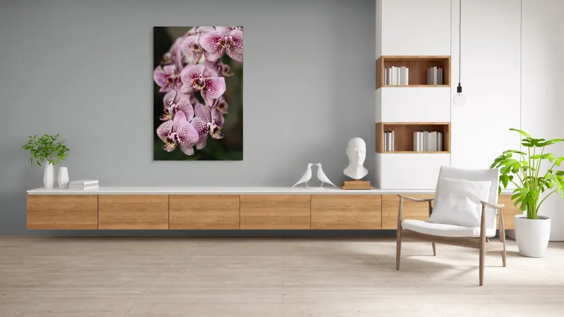 Tablou Canvas, "Orhidee grațioase înflorind splendid", Orhidee, Pestriț, Roz, Delicat, Exotic, Frumusețe, Natură, Viță, Petale, Artă, 100 x 150 cm – poza 8