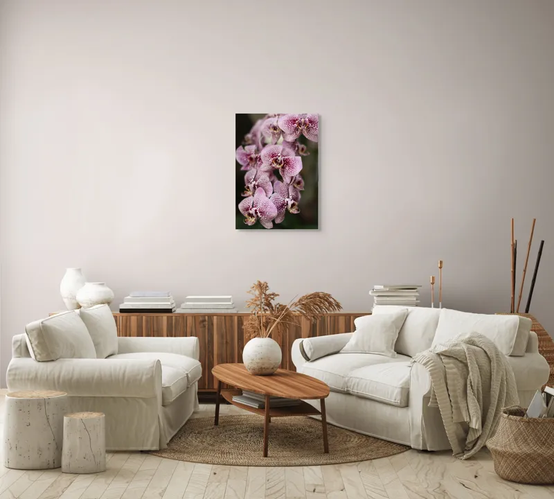 Tablou Canvas, "Orhidee grațioase înflorind splendid", Orhidee, Pestriț, Roz, Delicat, Exotic, Frumusețe, Natură, Viță, Petale, Artă, 50 x 70 cm – poza 4