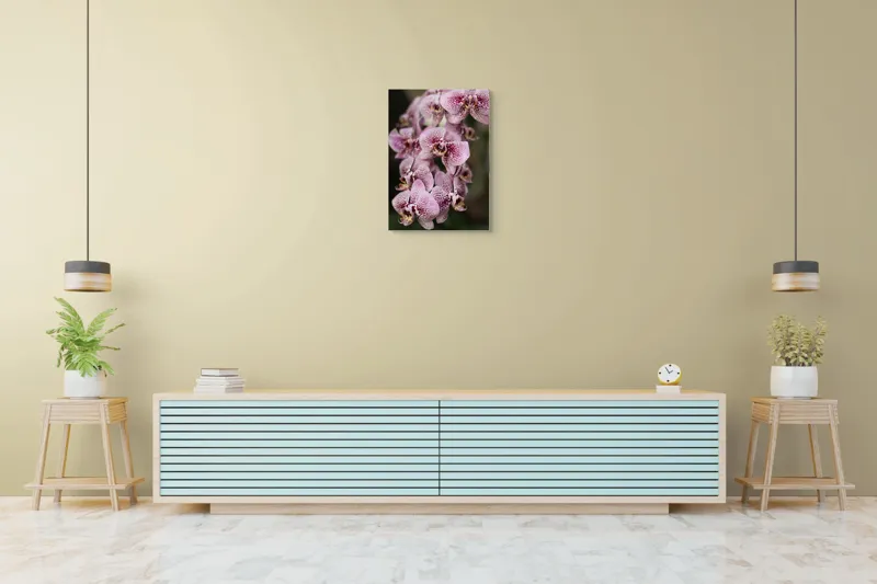 Tablou Canvas, "Orhidee grațioase înflorind splendid", Orhidee, Pestriț, Roz, Delicat, Exotic, Frumusețe, Natură, Viță, Petale, Artă, 50 x 70 cm – poza 6